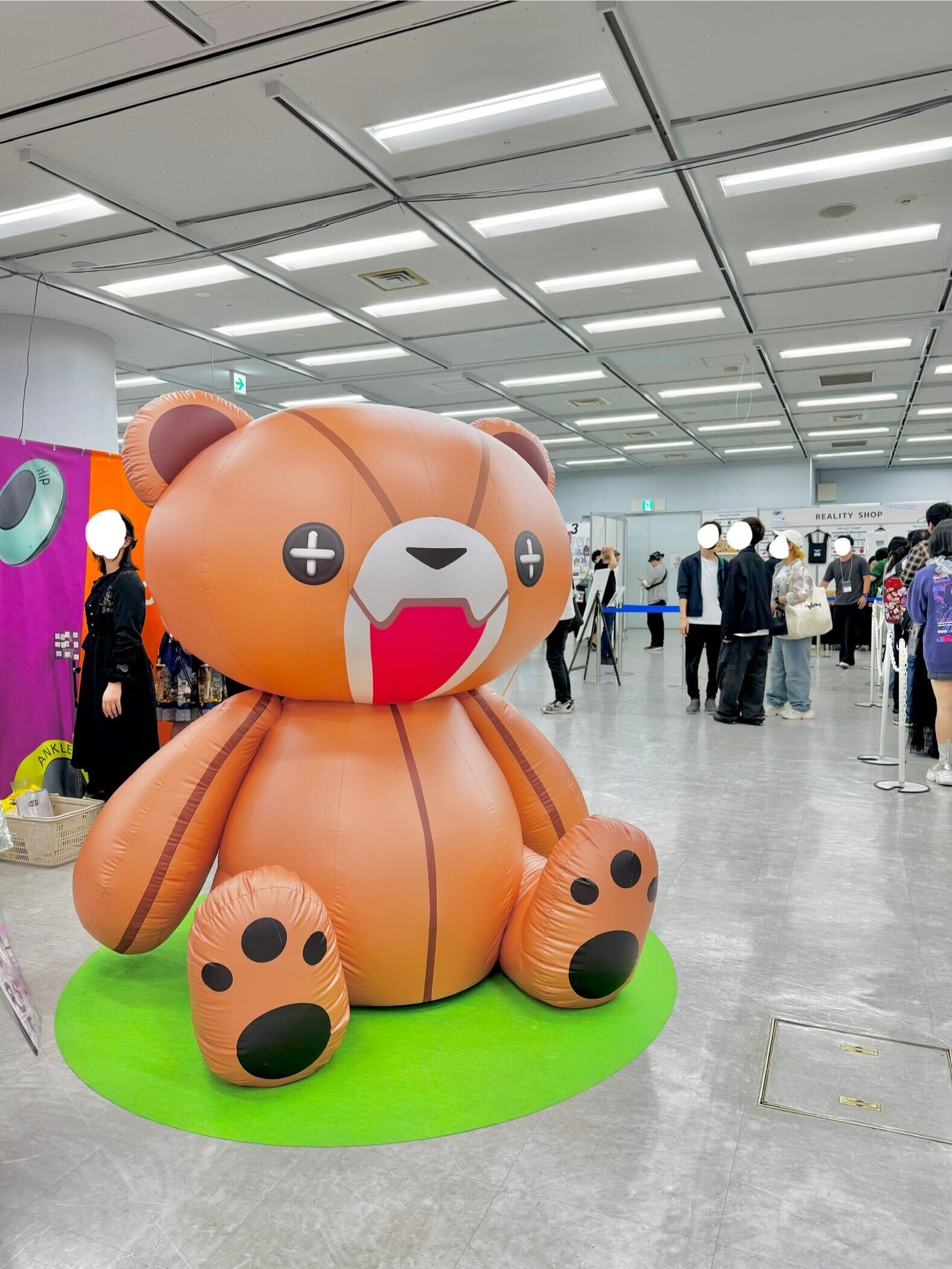 プレスリリース利用3クマさん.jpg